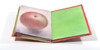 Omenakirja / Apple Book, 2008, akvarelli / watercolour, 37,5 x 21,5 cm 